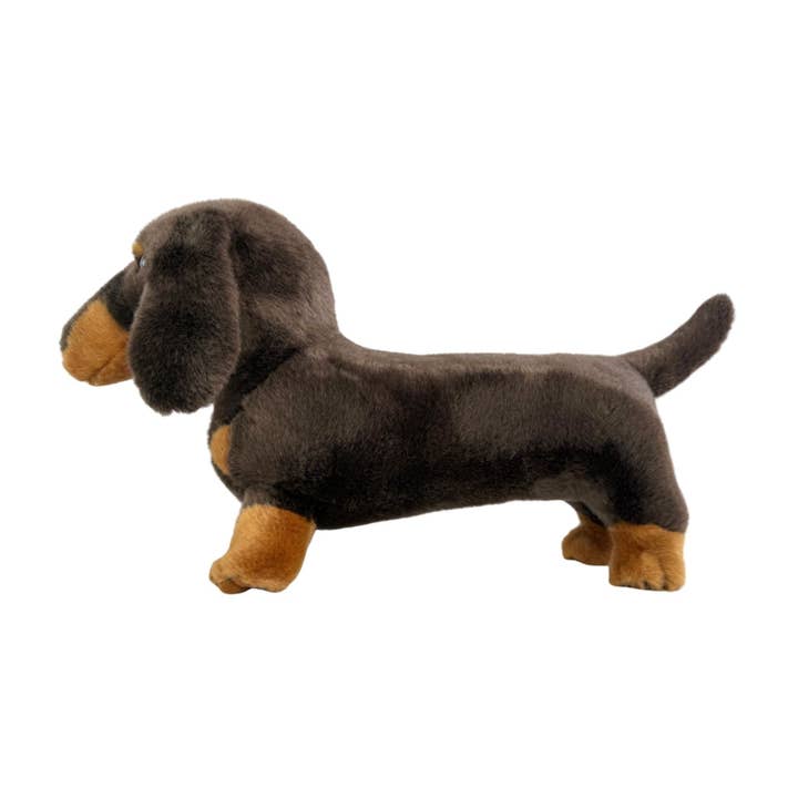 Bocchetta Plush Toys - Wholesale Pet plush toy – Dog - Stretch - Dachshund - 22cm standing6
