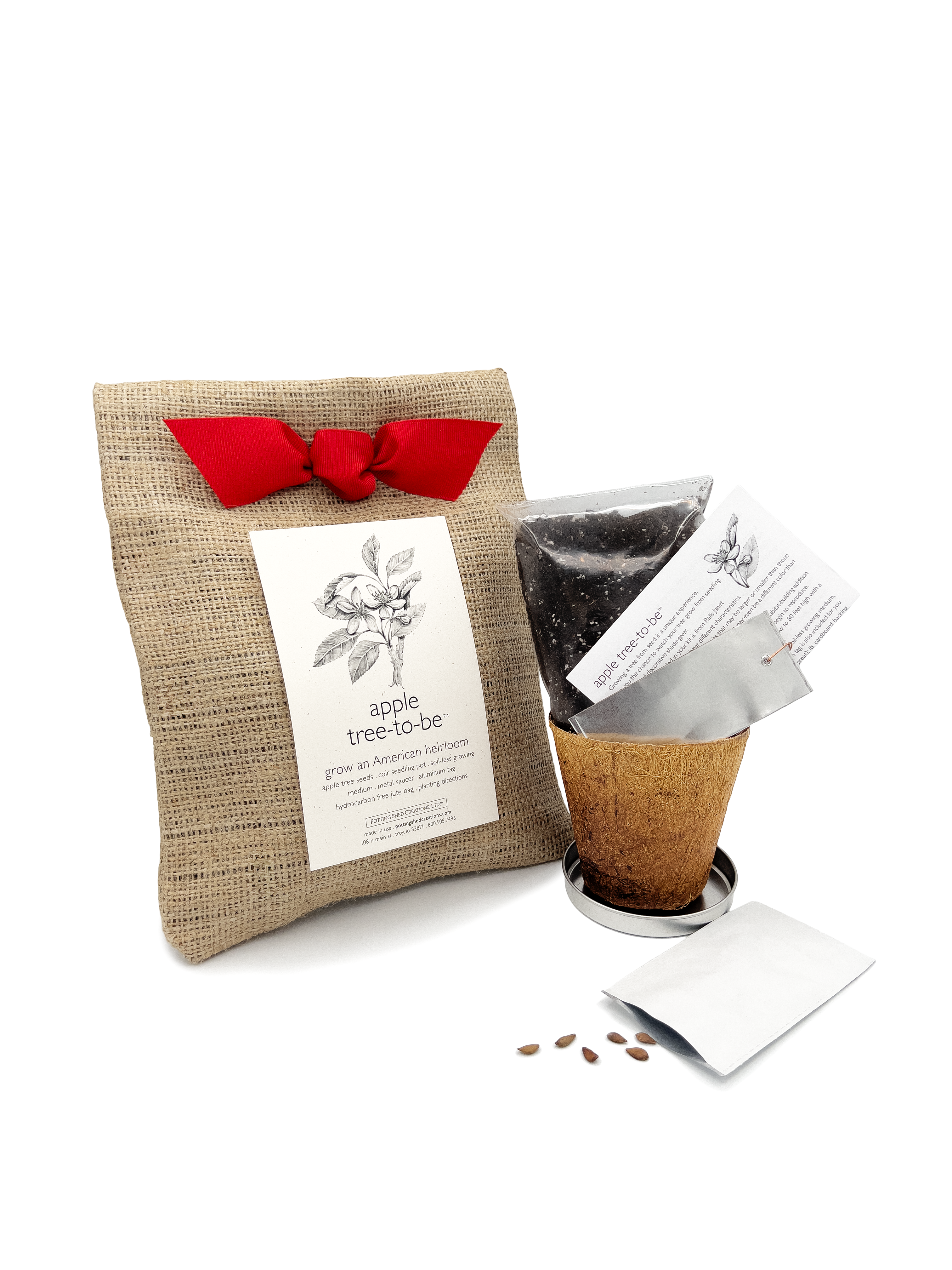 Potting Shed Creations, Ltd. - Wholesale Plant Seeds - Tree To Be | Apple | Teacher Thank you gift | Kid Activity2