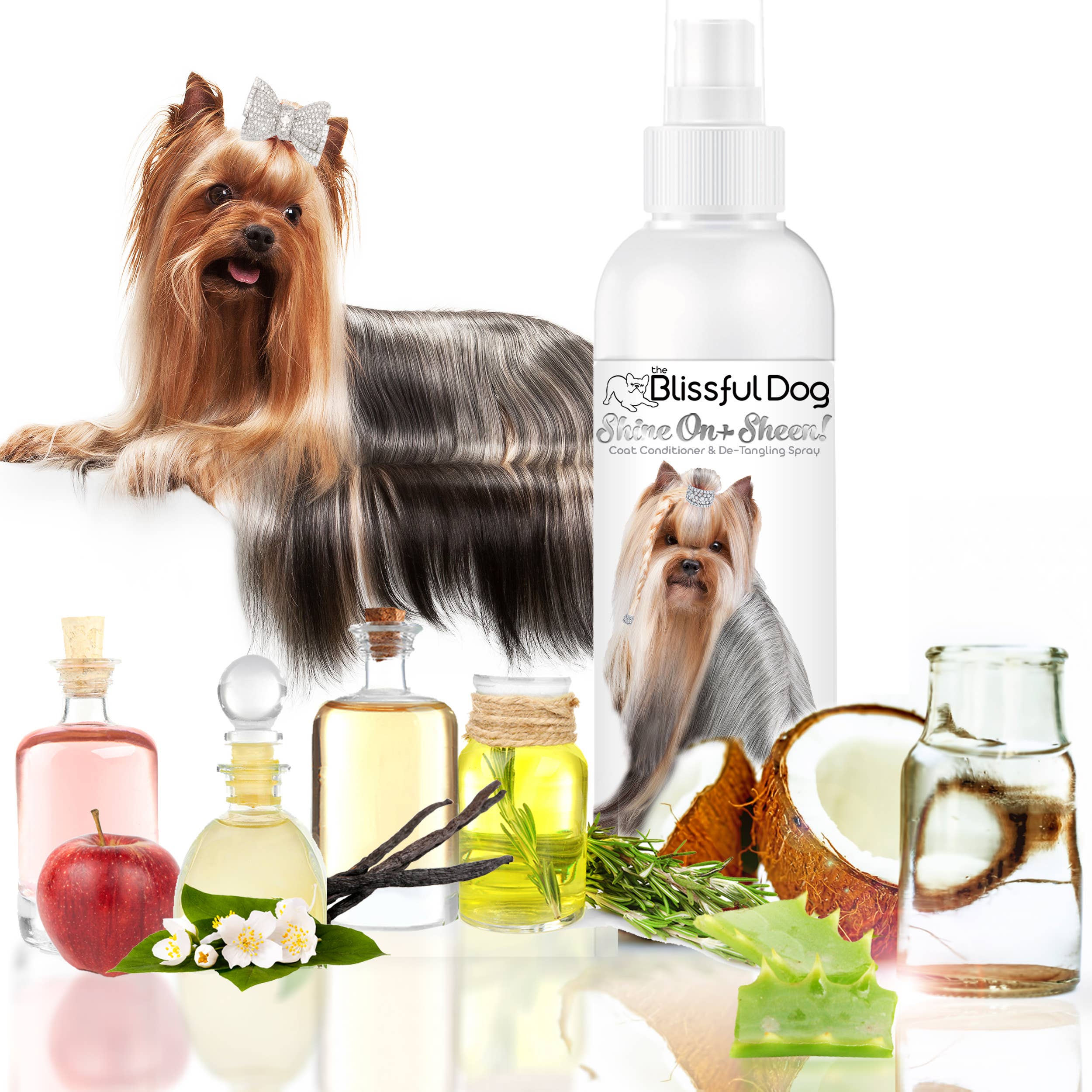 The Blissful Dog - Vente Après-shampoing – chien - Shine On+Sheen Après-shampooing et vernis à manteau canine5