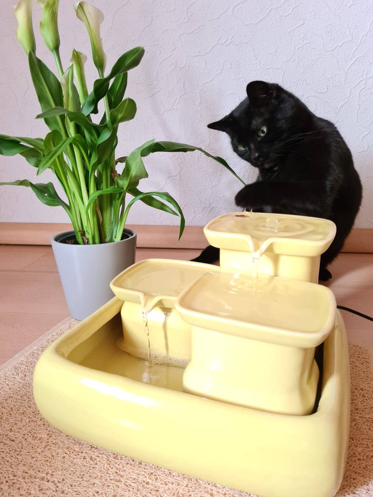 Miaustore – wholesale Pet bowl – Cat/dog – Cat fountain ceramic standard20