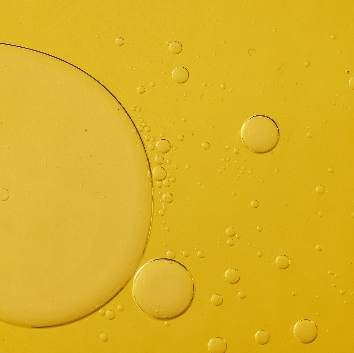 FORAH – Großhandel Gesichtspflege-Set – Entdeckungs-K6