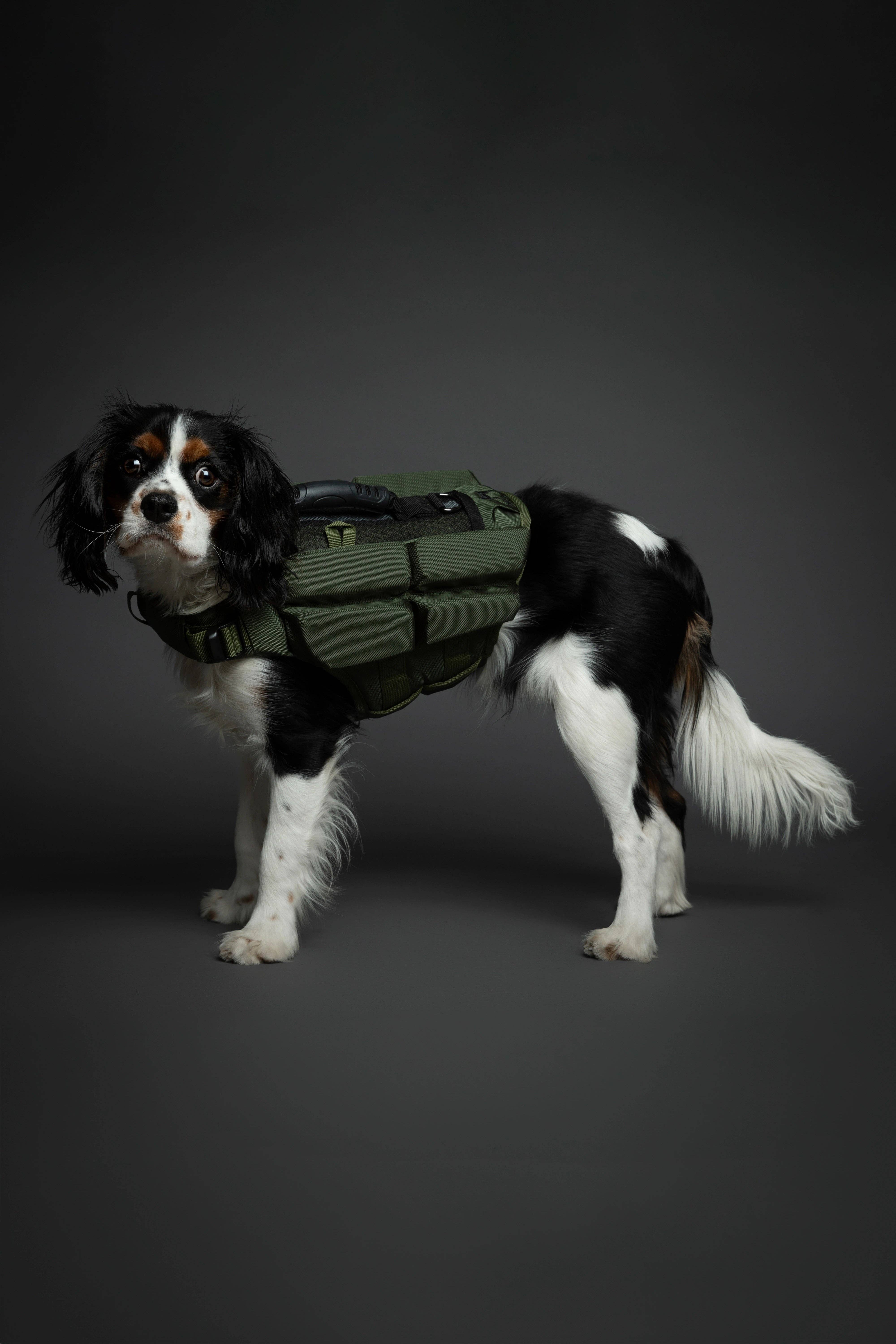 NOAH AND PAW LLC - Wholesale Pet Jacket - Dog - Human Standards Dog Lifejacket Design with 4x Foam Support for Max Floating - Green8