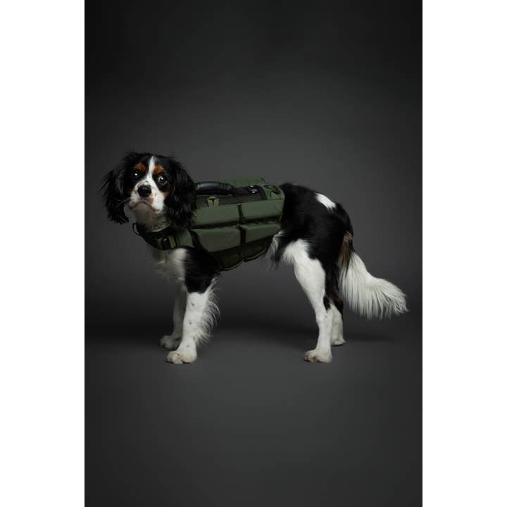 NOAH AND PAW LLC - Vente Veste – chien - Gilet de sauvetage pour chien NOAH AND PAW avec 4 mousses flottantes - Vert8