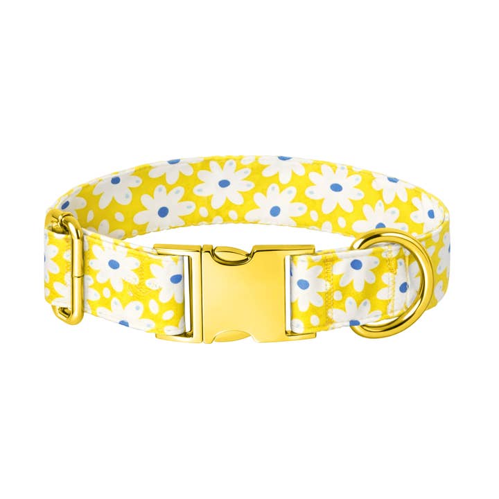 Collar para perro Margarita feliz para venta al por mayor de Pretty posh pups