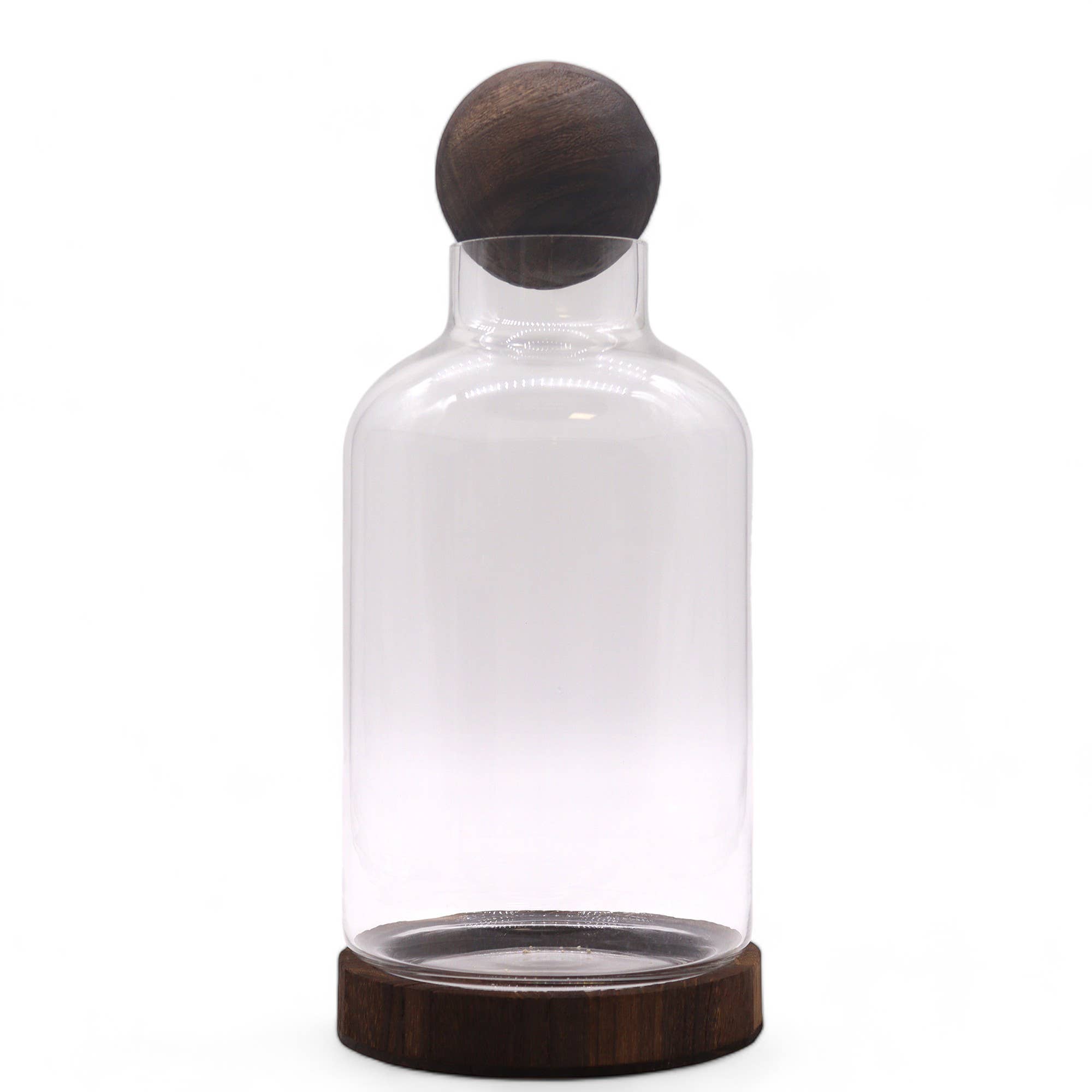 AW Artisan - Wholesale Terrarium - Medium terrarium with ball lid - 16x32cm1
