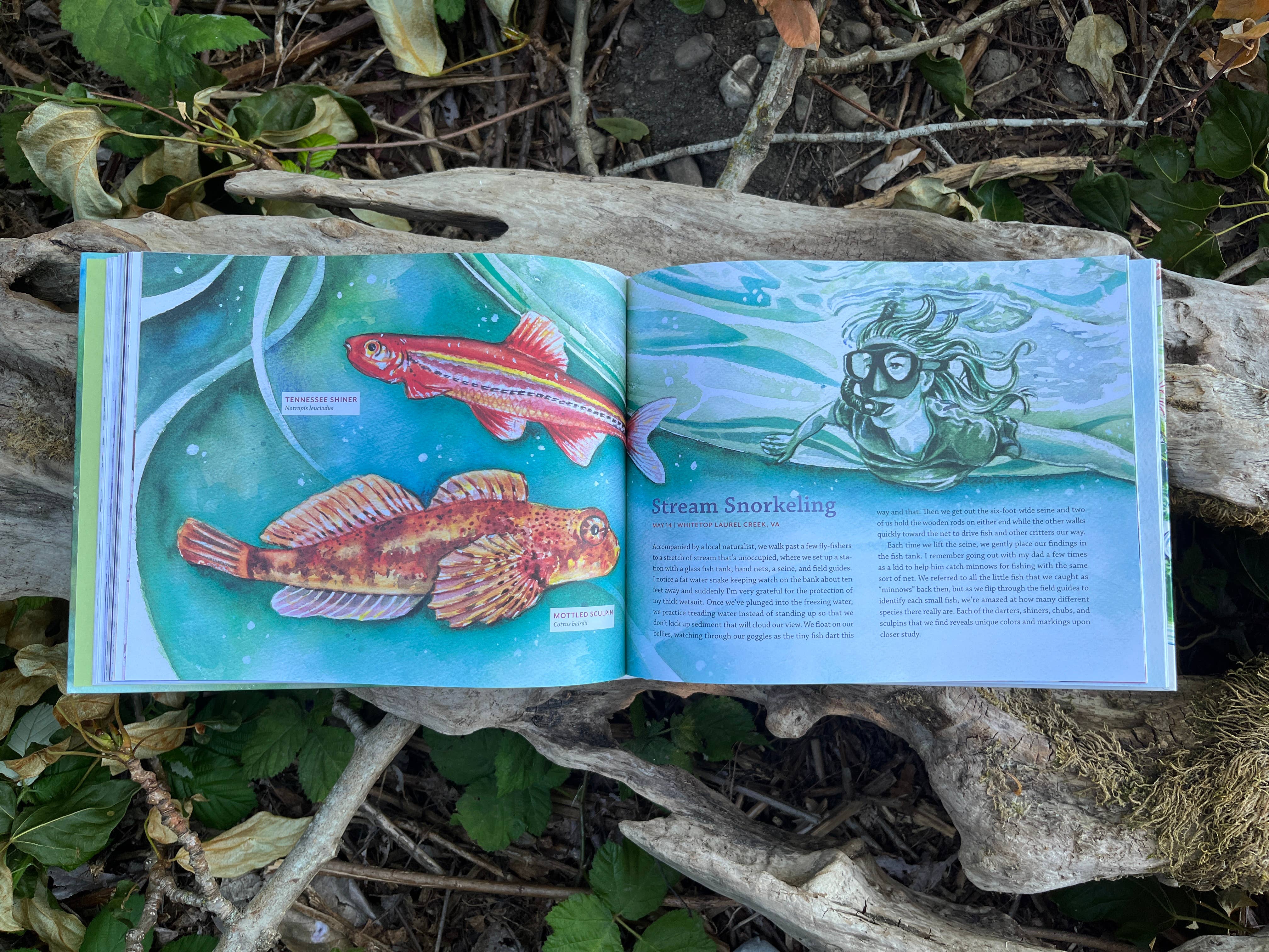 Mountaineers Books - Wholesale Nature & Outdoors - Tiny Worlds of the Appalachian Mountains3