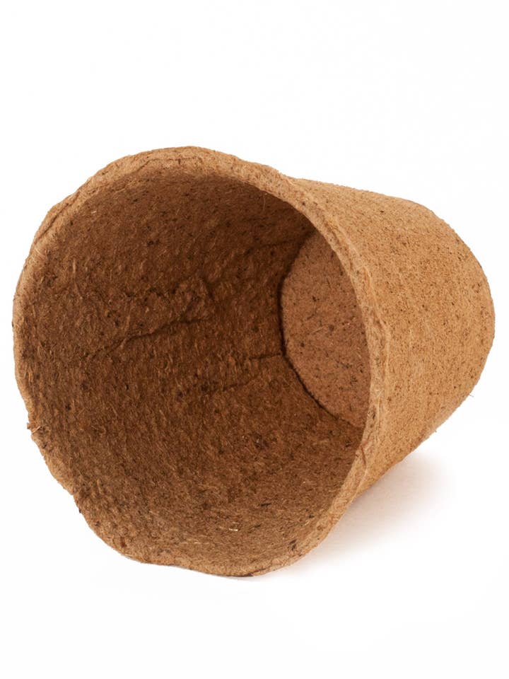 24 Pack 2-inch Small Peat Pots Biodegradable Round for wholesale by Daniel's Plants