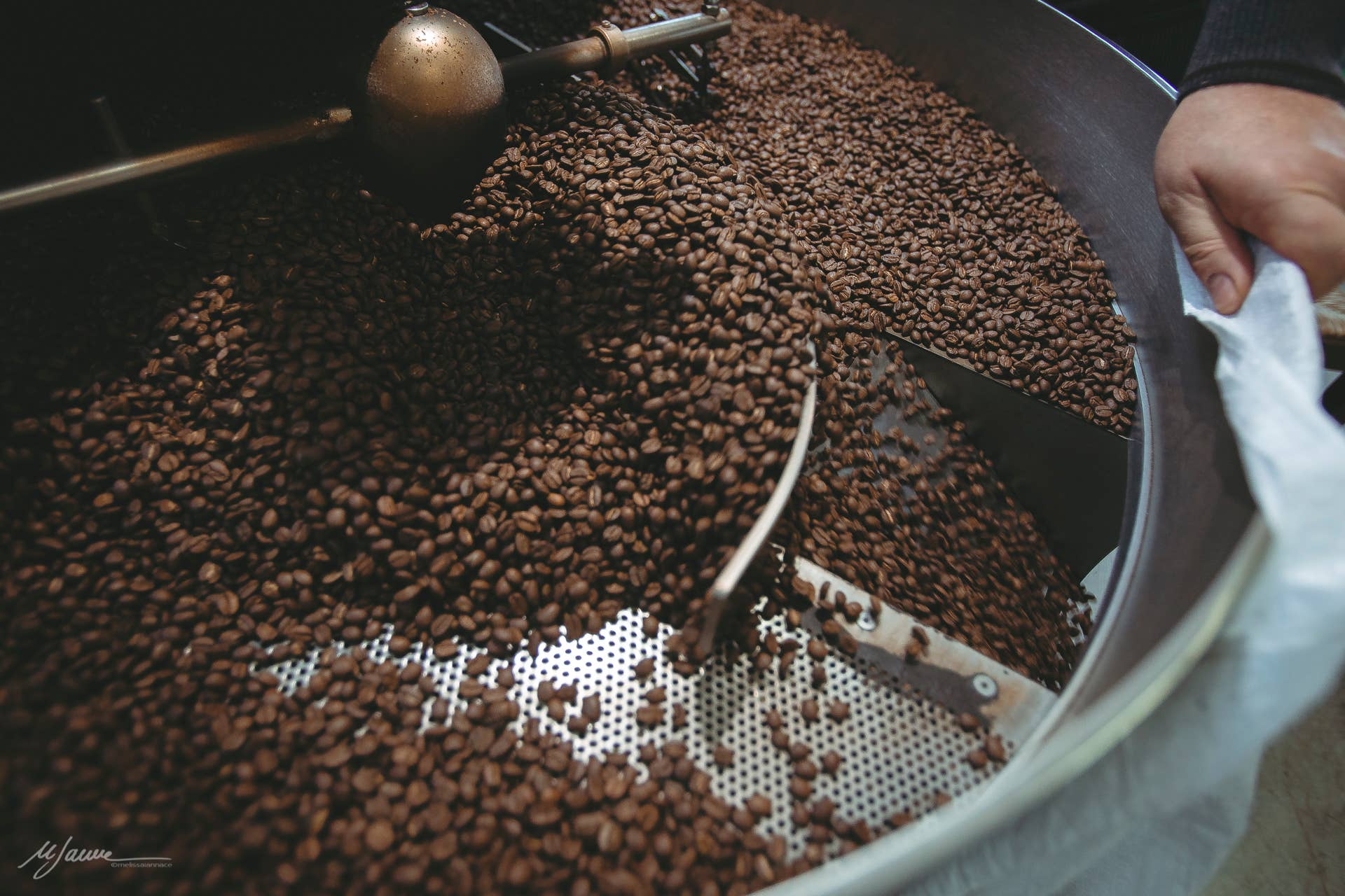 Cafe srls – Grãos de café por atacado – CAFÉ DESCAFEINADO DESCAFEINADO com caráter forte, grãos 250g5