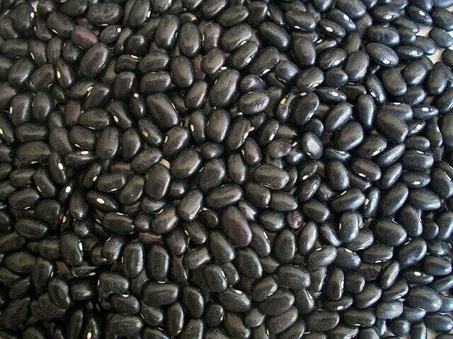 Ragin' Cajun - Wholesale Beans - Seasoned Black Beans2