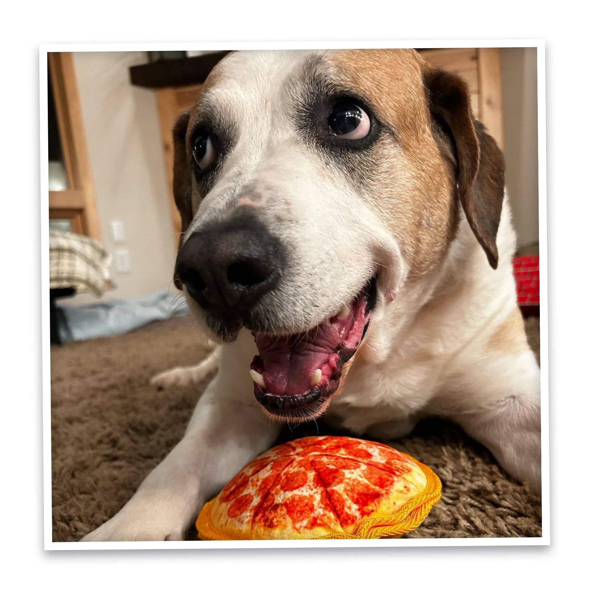 SmarterPaw | Meowijuana & Doggijuana - Wholesale Pet Chew Toy - Dog - Doggijuana® Tuffer Chewer Mini Pepperoni Pizza Dog Toy6