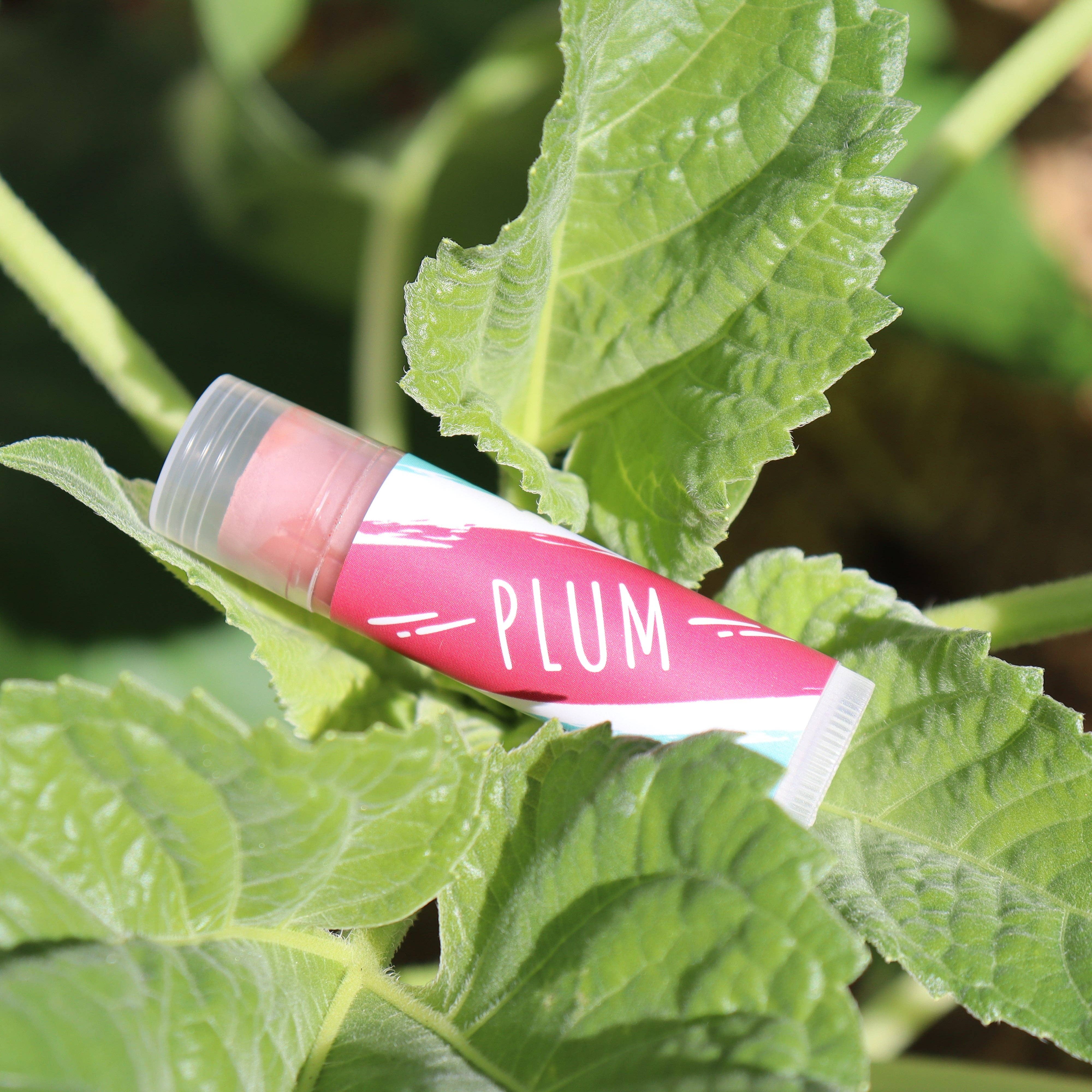 Little Fox Lip Balm - Wholesale Lip Balm - Lemon Balm Tinted1