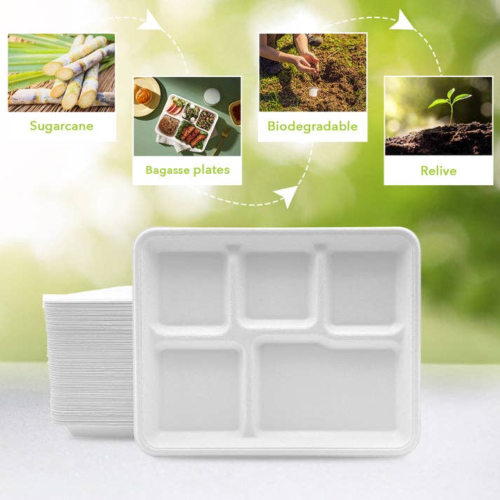 White Three Leaf 5 Compartment Bagasse (School) Tray 500 Ct. for wholesale on Faire3