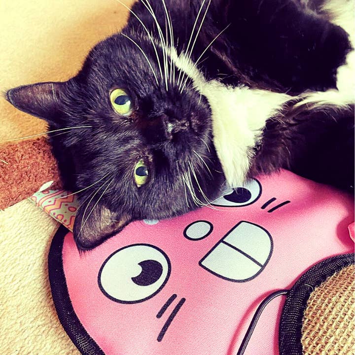 WufWuf – wholesale Pet scratcher – Cat – MyMeow Bunny Cat Scratcher with Hanger2