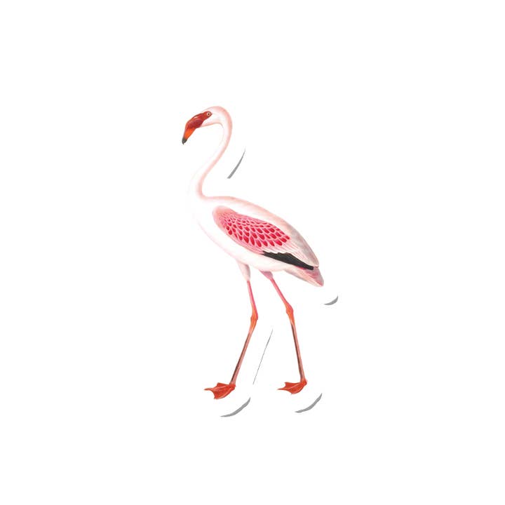 Birdy Flamingo for wholesale by Suteka