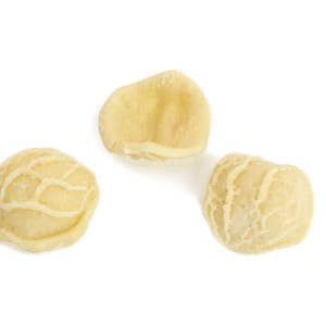 Orecchiette 500g pack for wholesale by BEROLI S.A.R.L