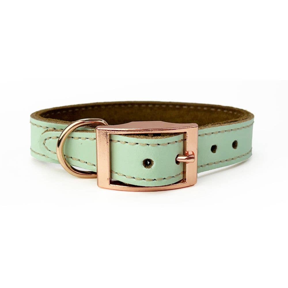 HugglePets - Wholesale Pet Collar - Dog - HugglePets Skye & Murphy Padded Leather Dog Collar0