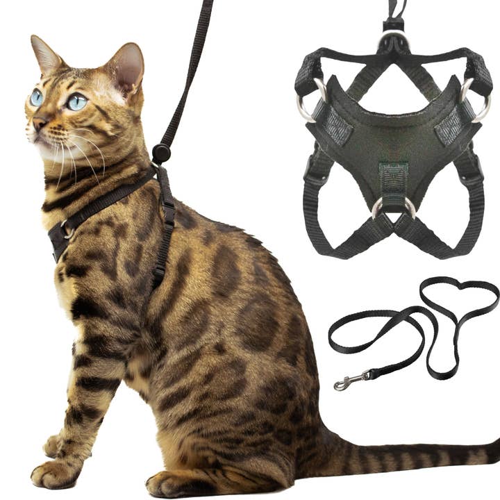 Outdoor Bengal - Wholesale Pet Harness - Cat - Houdiniâ„¢ Cat Harness and Leash - Escape Resistant, Light and Safe