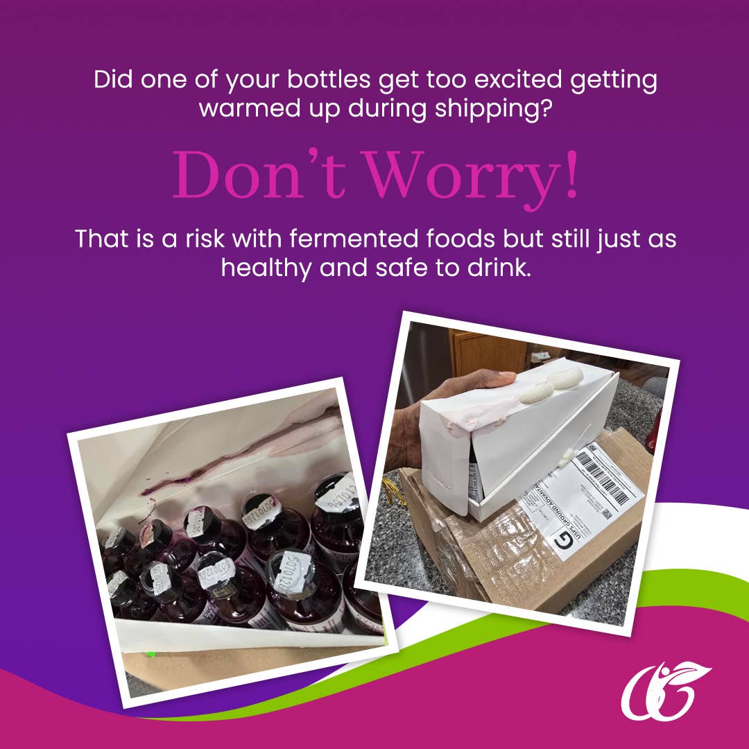 Garden Goddess Ferments - Wholesale Wellness Juice/Tonic - 24 Pack of 2oz Garden Goddess Beet Kvass4