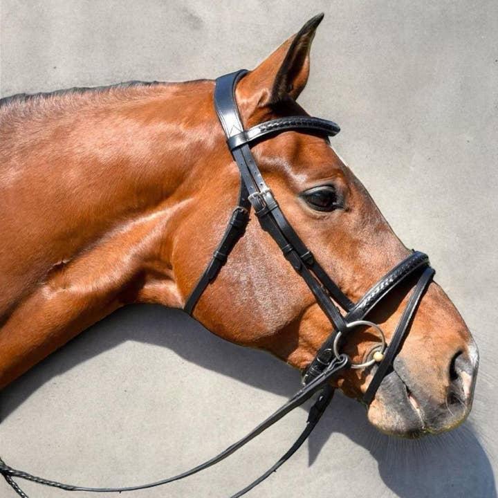EPONIA EQUESTRIAN LIFESTYLE - Wholesale Horseback Riding Gear - Bridle with classic braided details - Italian leather