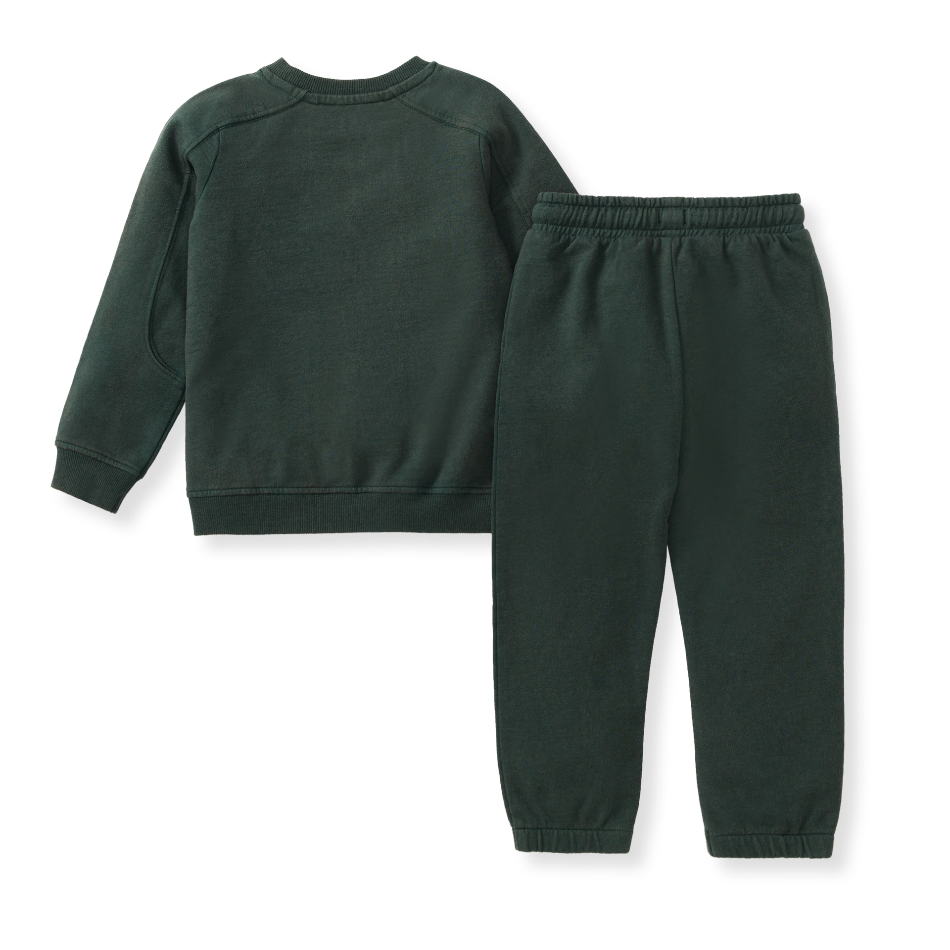 Burt's Bees Baby - Wholesale Top & Pant Set - Baby - Acid Wash Sweatshirt & Pants Set - Zucchini Green2