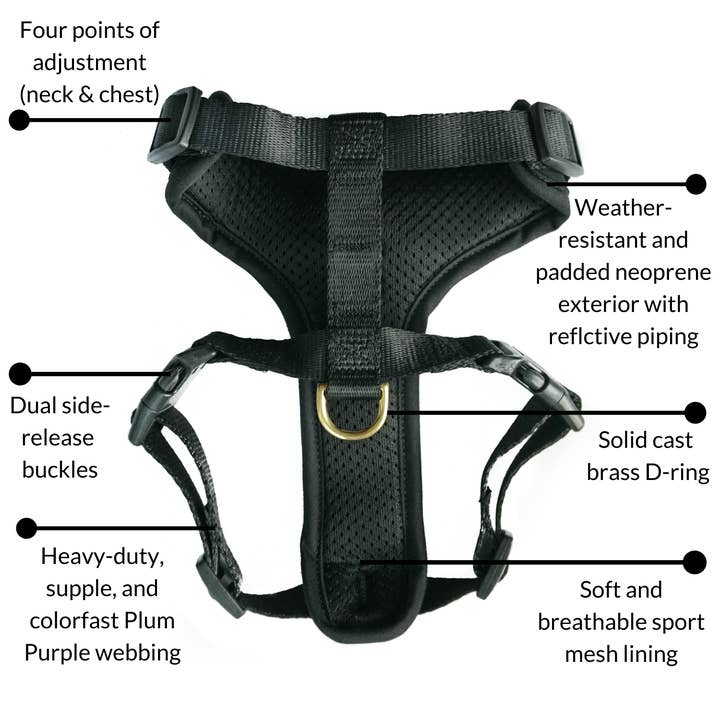 DJANGO - Wholesale Pet Harness - Dog - Adventure Dog Harness - Black2