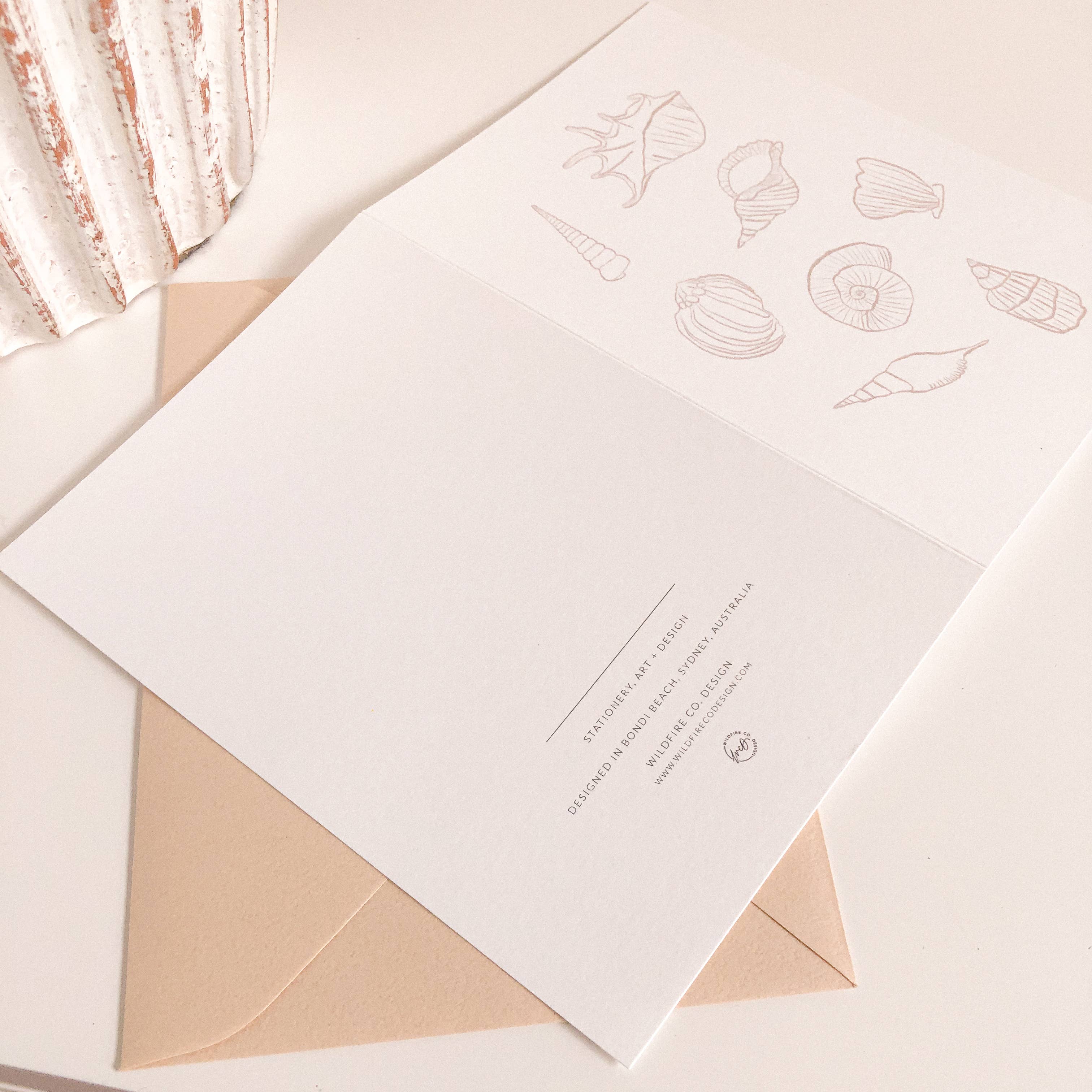 Wildfire Co. Design - Wholesale Everyday Greeting Card - Seashells Greeting Card1