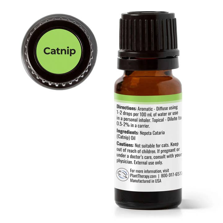 Plant Therapy – wholesale Eterisk olja – Kattmynta eterisk olja 10 mL