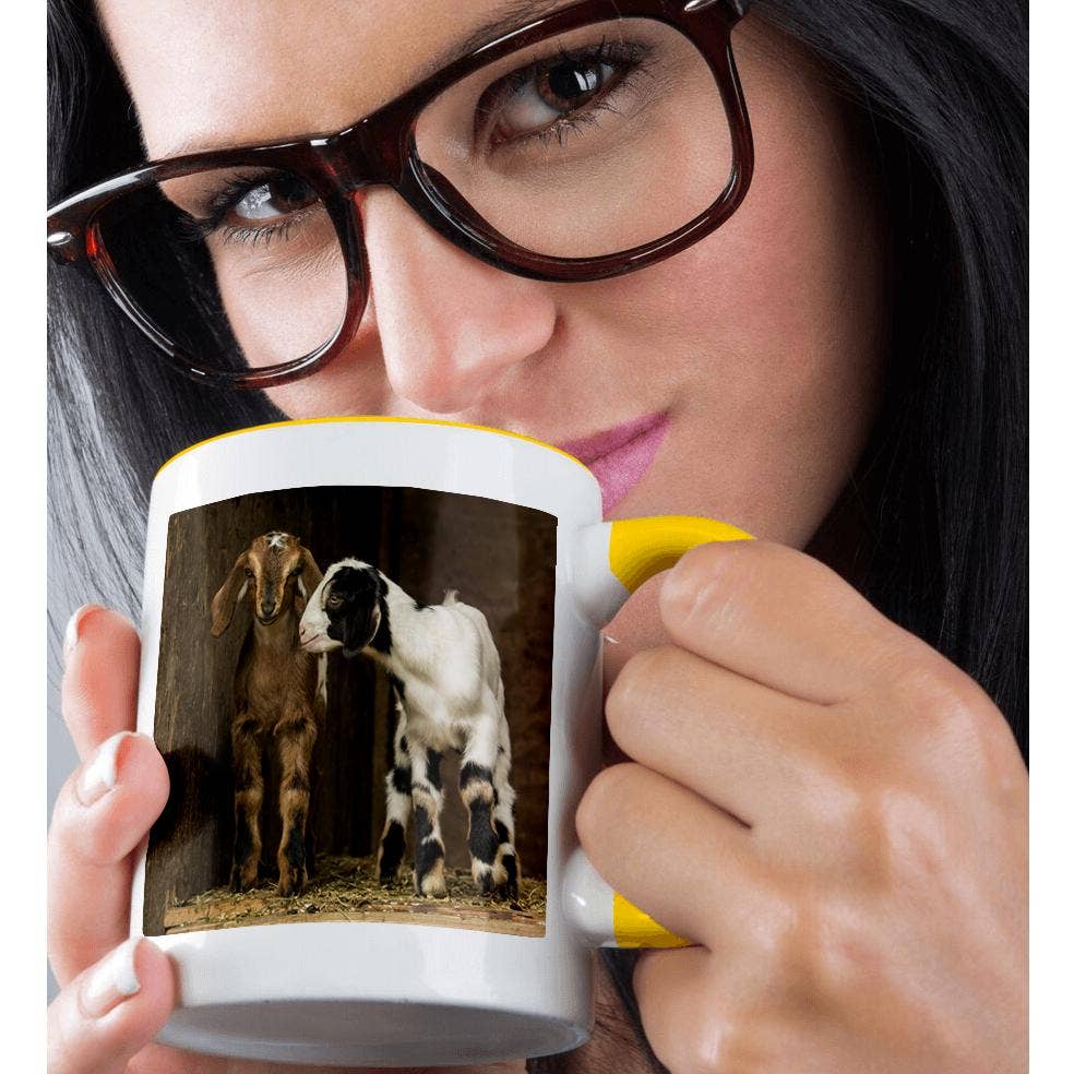 3dRose - Wholesale Coffee Mug - 3dRose, Two Twelve day old mixed breed goat kids., Mug1