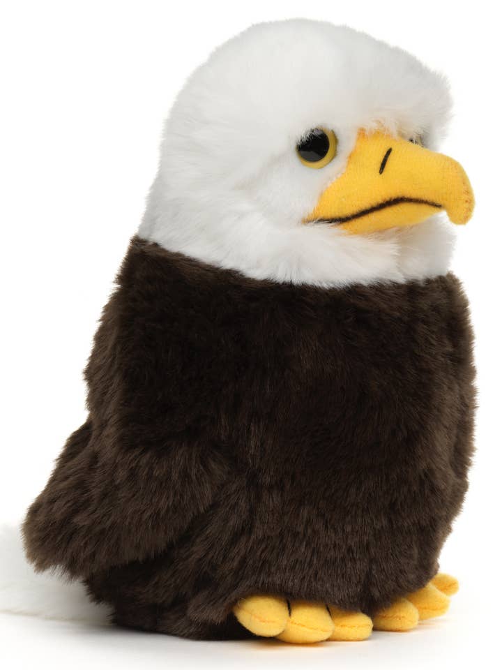 Bald Eagle Baby - 17 cm (height) - cuddly/plush toy for wholesale by Uni Toys