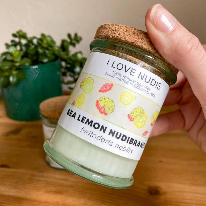 I LOVE NUDIS - Wholesale Jar/Filled Candle - Sea Lemon Nudibranch Candle in Recycled Glass1
