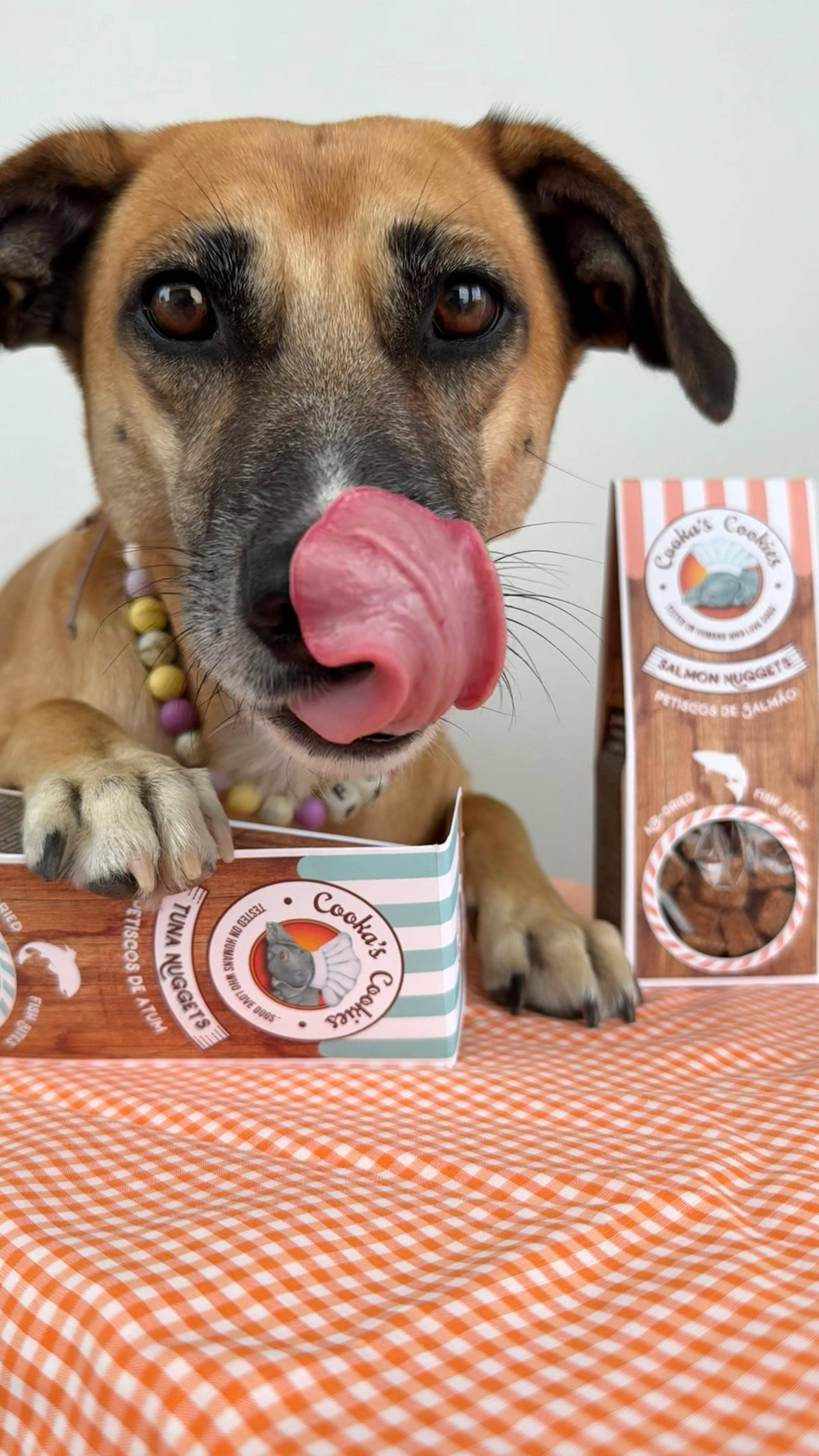 Cooka's Cookies - Wholesale Pet Treats - Dog - Salmon Nuggets - Air-dried bites2