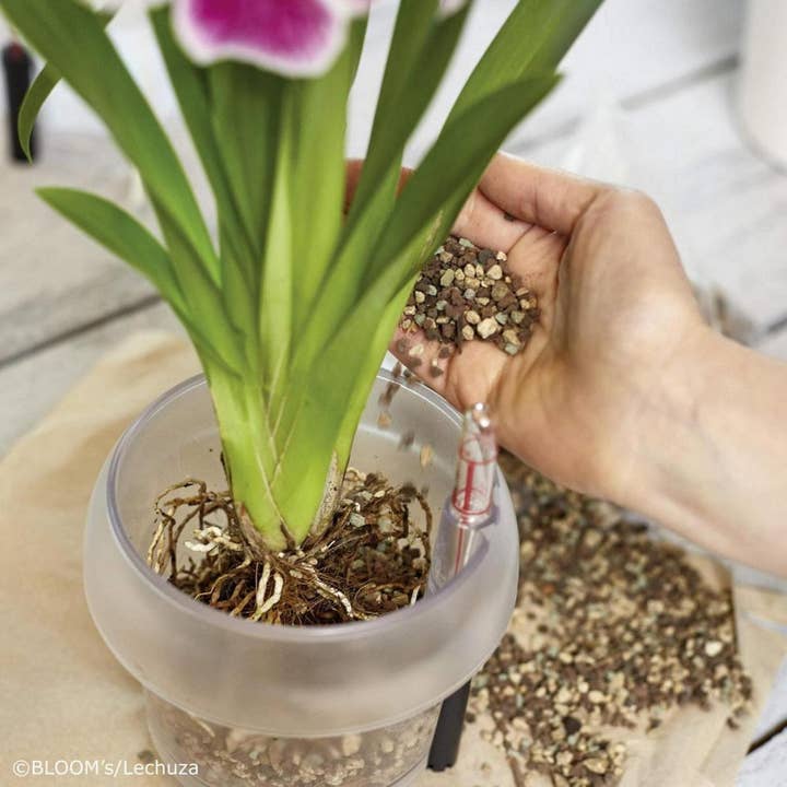 Lechuza Self Watering Planters – wholesale Planting/potting soil – LECHUZA ORCHIDPON Orchid Potting Mix4