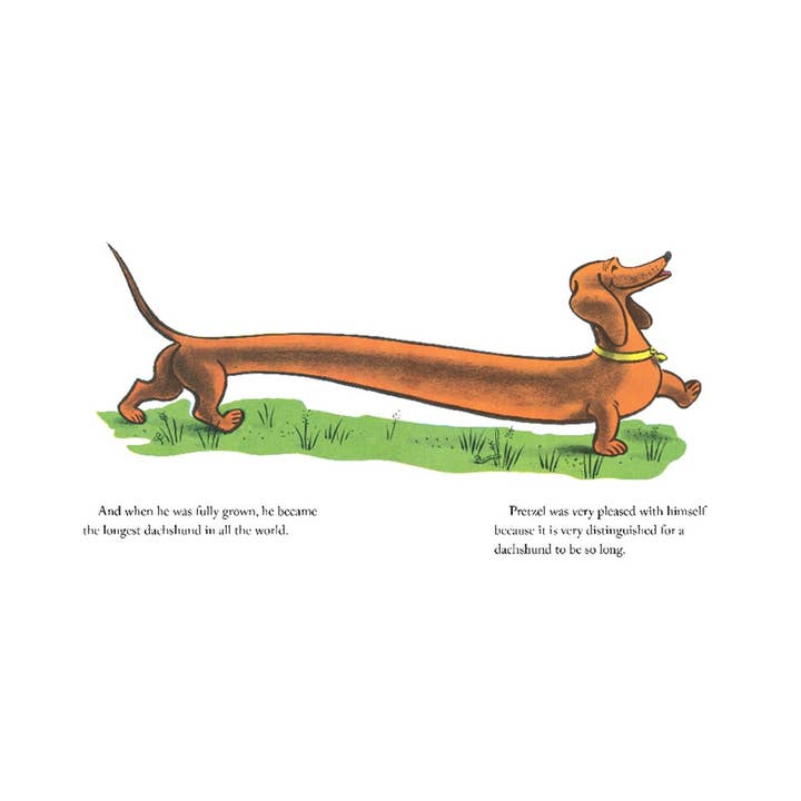 HarperCollins - Wholesale Baby & Toddler Book (0-2) - Pretzel Board Book: Margret Rey2