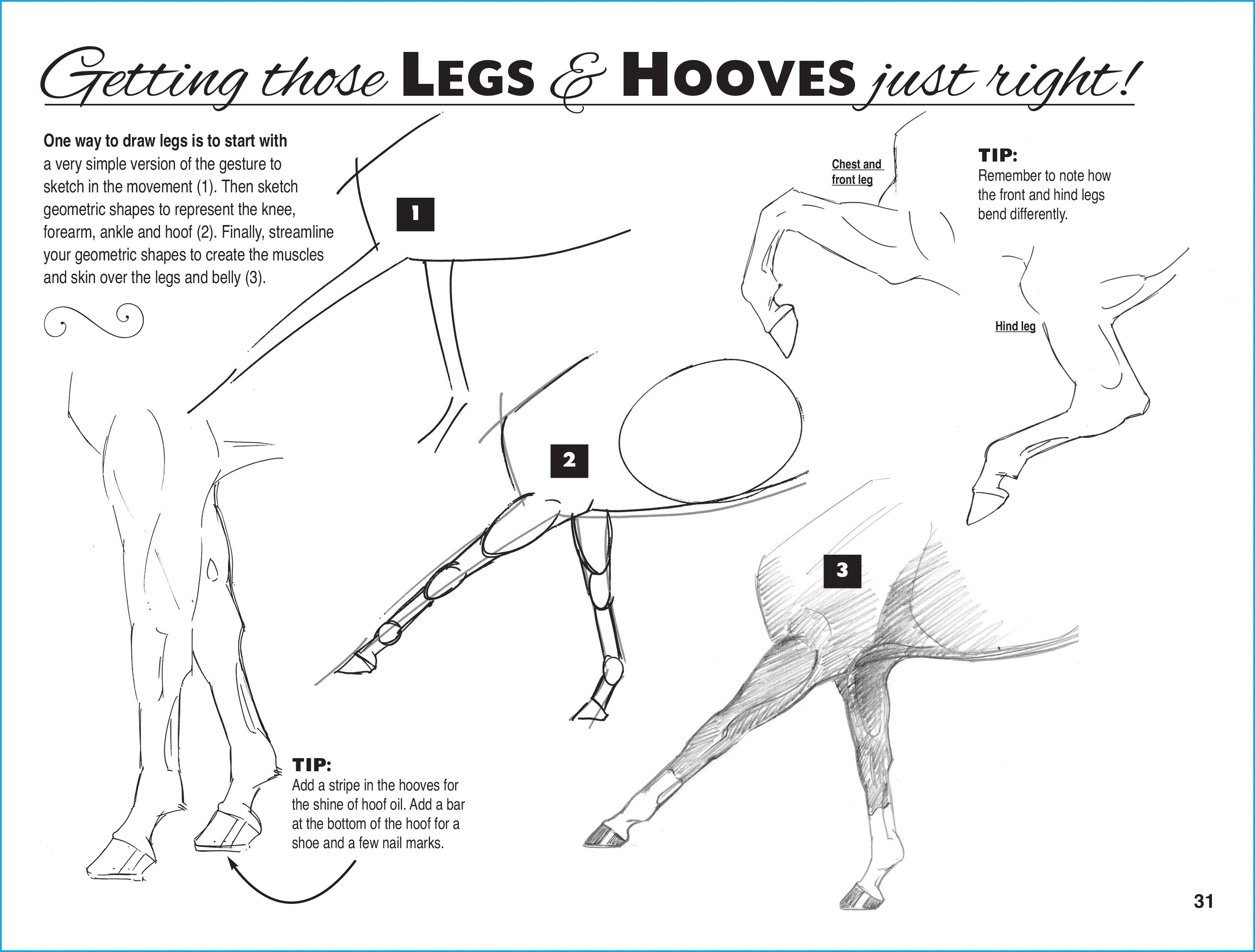 Horse Hollow Press / Pretty, Funny, Snarky Cards & Stickers - Wholesale Coloring & Activity Book - Adult - Art Book Horse Equestrian / Anyone Can Draw Horses / All Age10