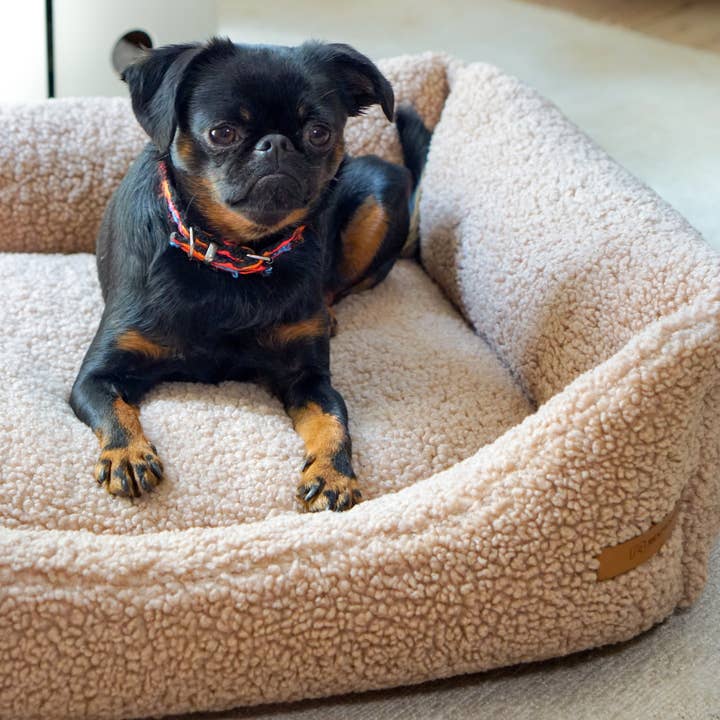 Rexproduct Sp. z o.o. Sp. k. - Wholesale Pet Bed - Cat/Dog - FRIDA TEDDY - beige dog bed + mattress for dogs and cats5