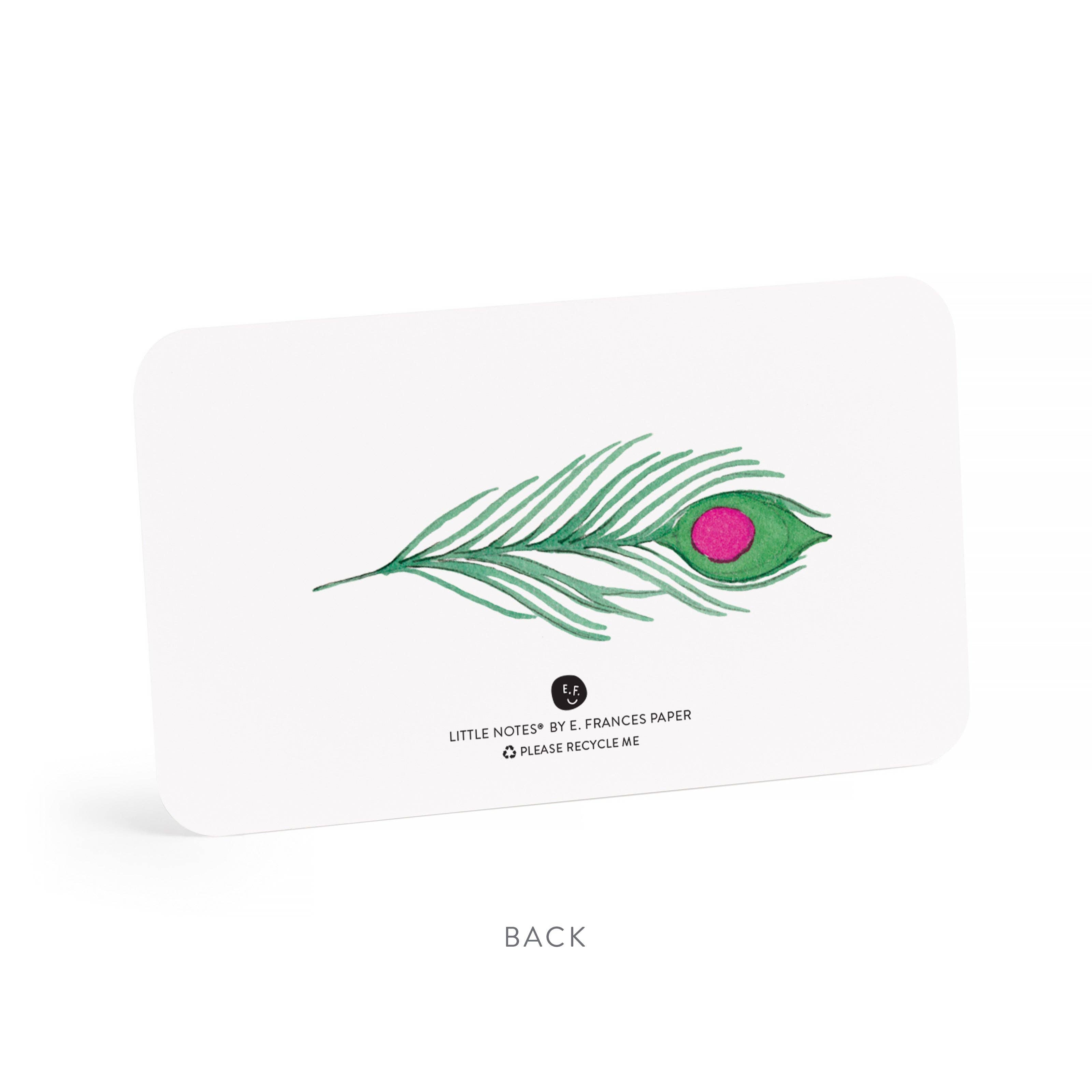 E. Frances Paper - Wholesale Stationery/Notecard Set - Peacock Little Notes® NEW 55 count3