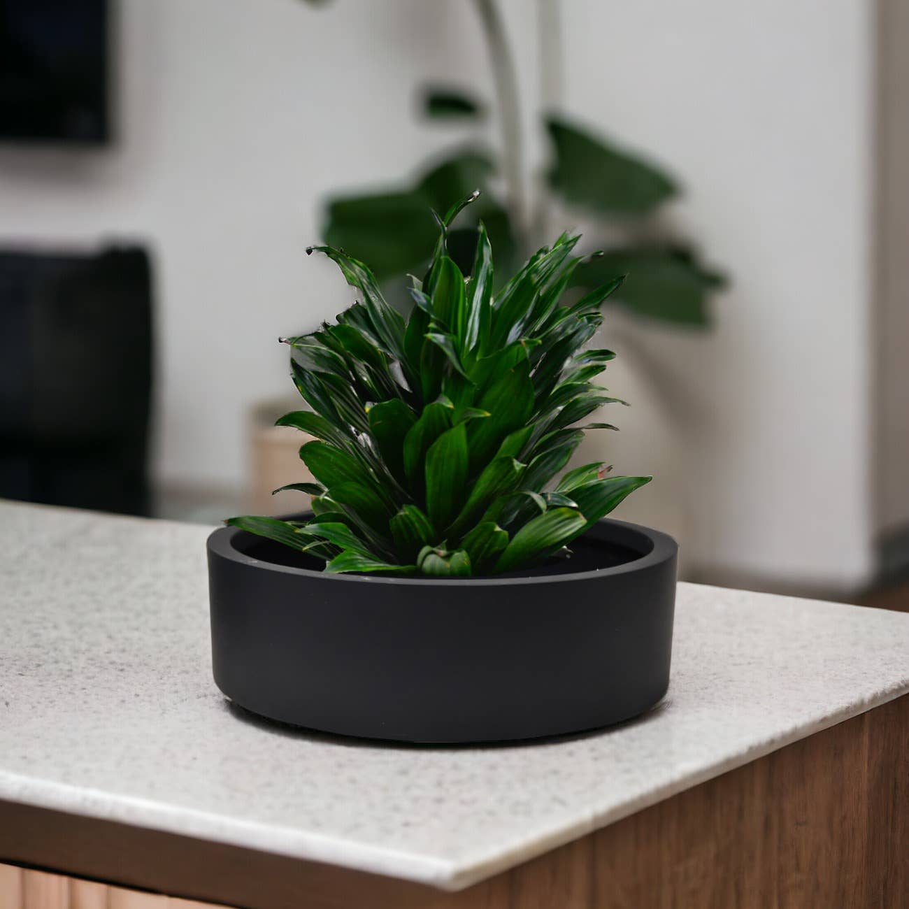 Vasesource - Vente Pot - Jardinière ronde d'intérieur Liam Fiberstone (LIAM413)3