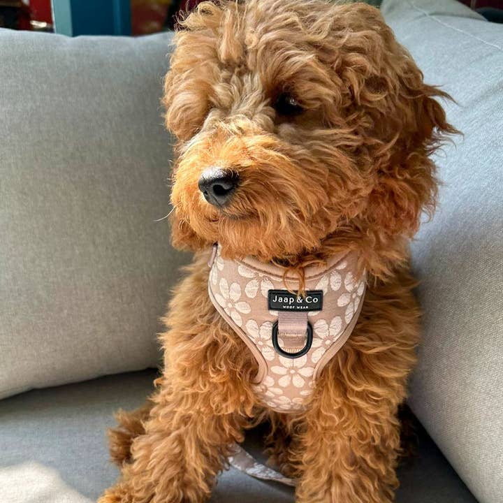 Jaap & Co - Woof Wear - Wholesale Pet Harness - Dog - Blush Elegance - Dog Harness2