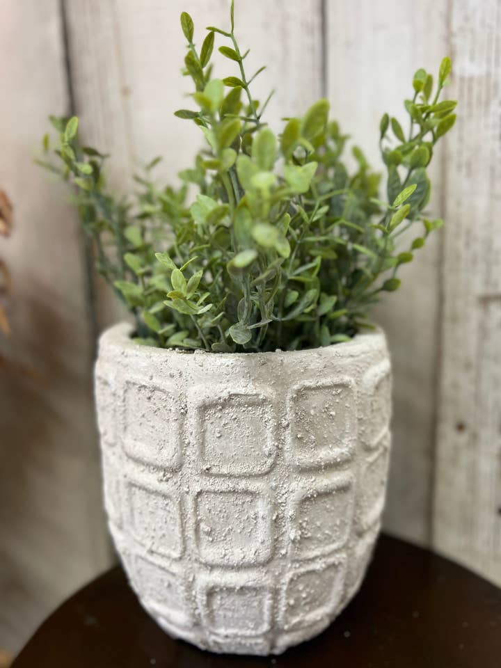 Square Pot 6x6in for wholesale by Wholesale Home Decor