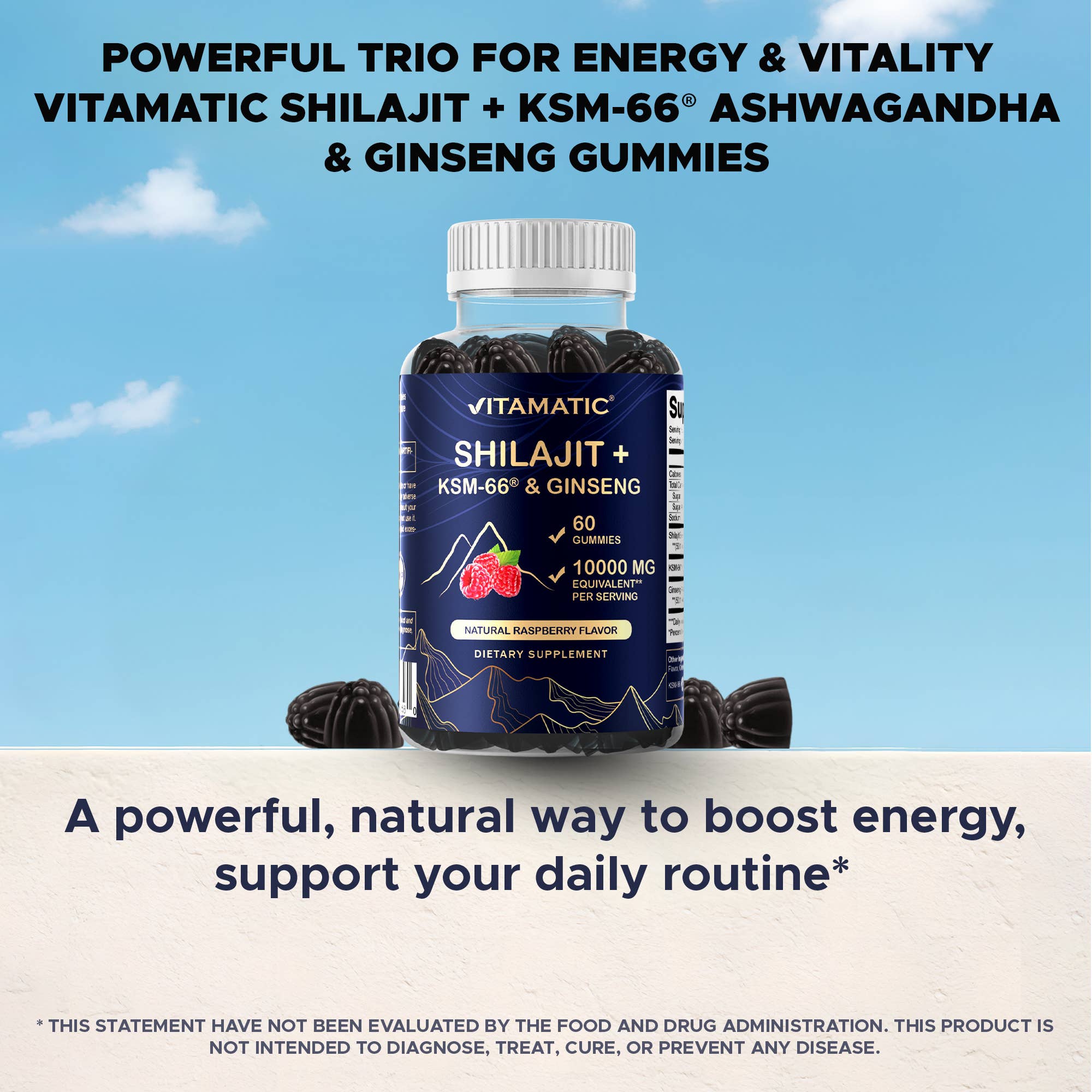 Vitamatic – wholesale Oral supplement/vitamin – Vitamatic Shilajit with KSM-66® Ashwagandha & Ginseng-60 Ct6