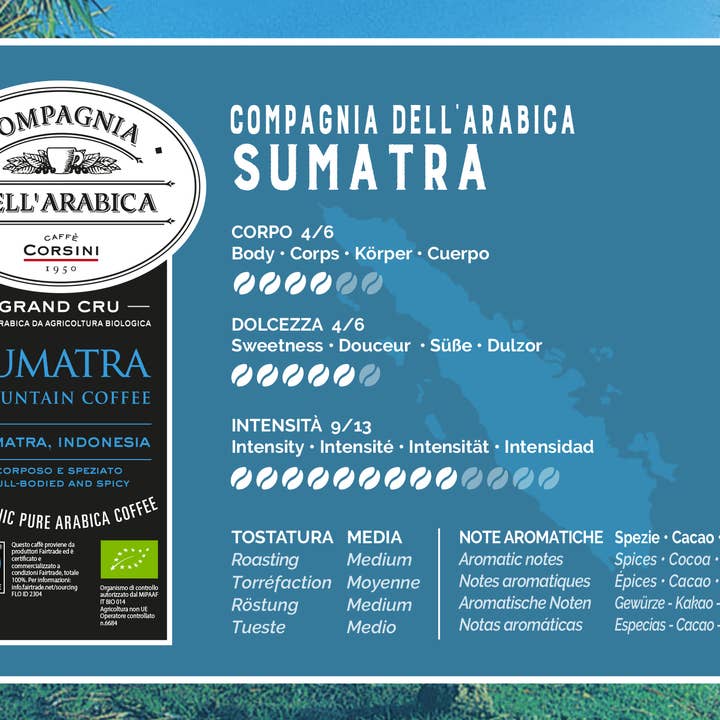 Caffè Corsini - Wholesale Coffee Beans - Coffee beans | Sumatra Bio and Fairtrade | 500g