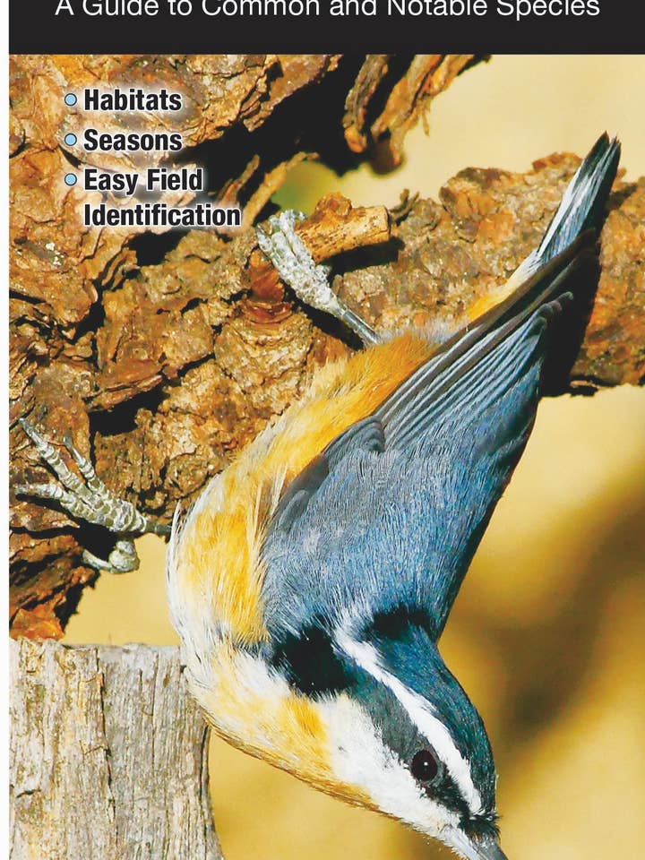 Birds of Utah for wholesale by Quick Reference Publishing, Inc