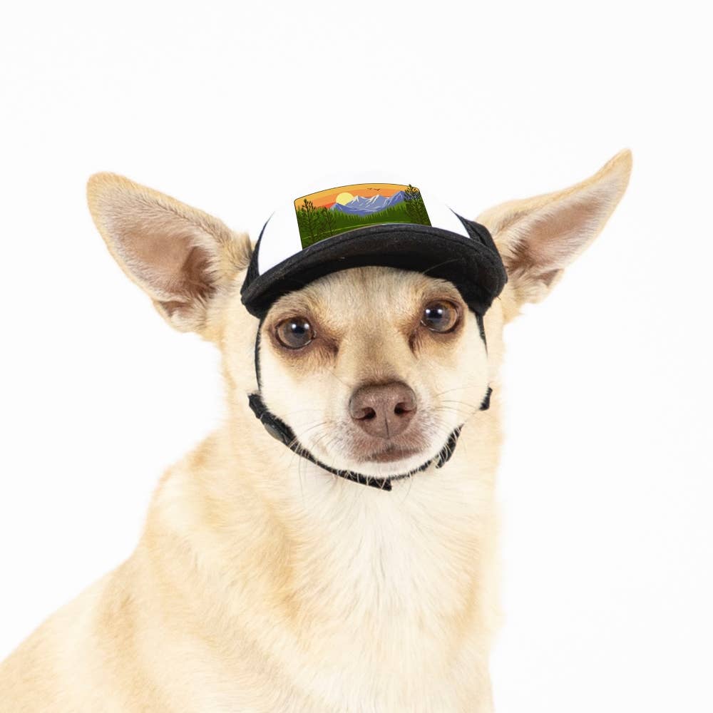 PupLid - Wholesale Hoed voor honden - Hond - Mountain Lake Standard of Namedrop | Truckerhoed voor honden45