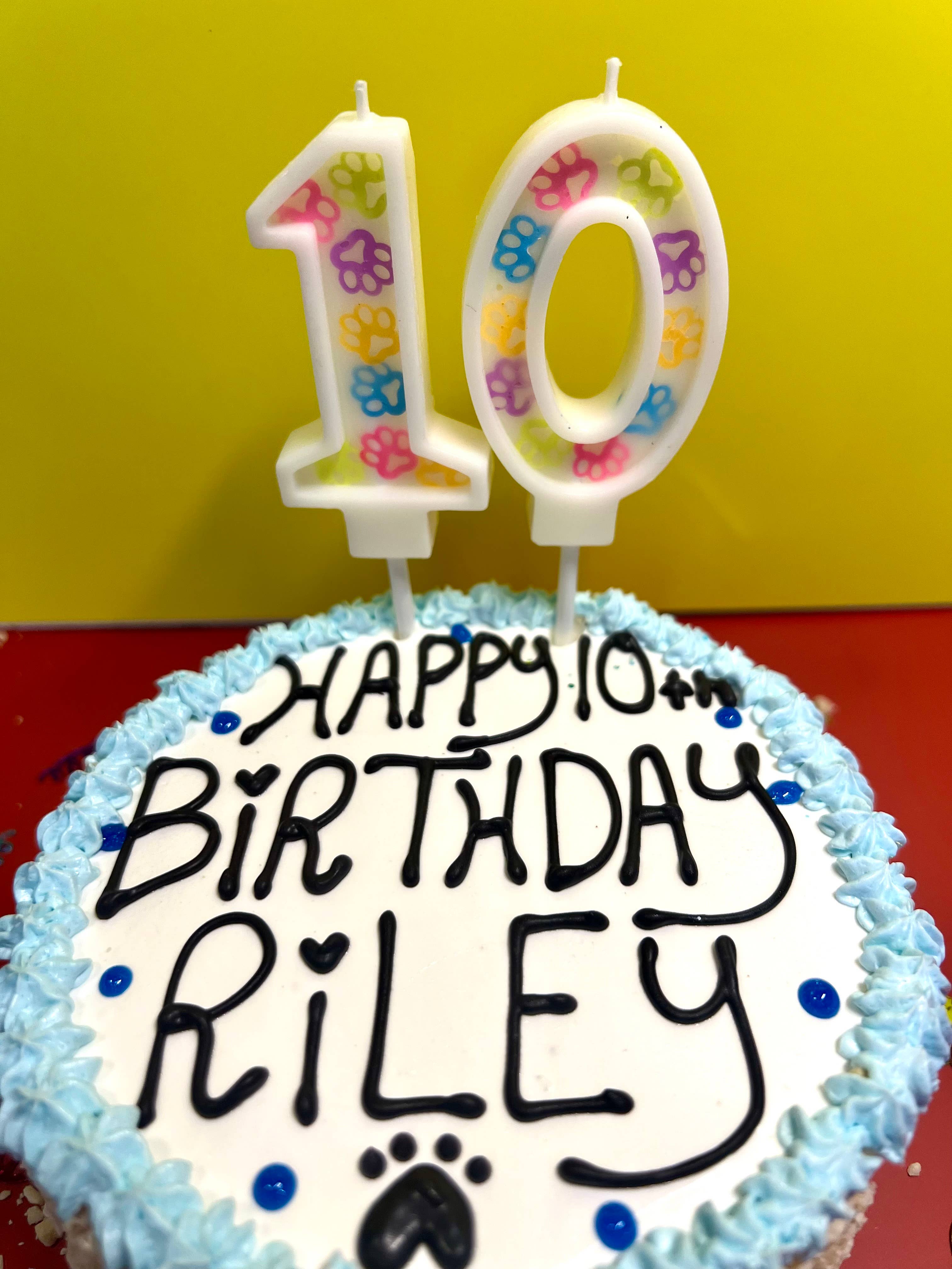 Riley Roo Candles - Wholesale Cake Candle - Dog Birthday Party Candle | Pet Themed Cake Candles 2