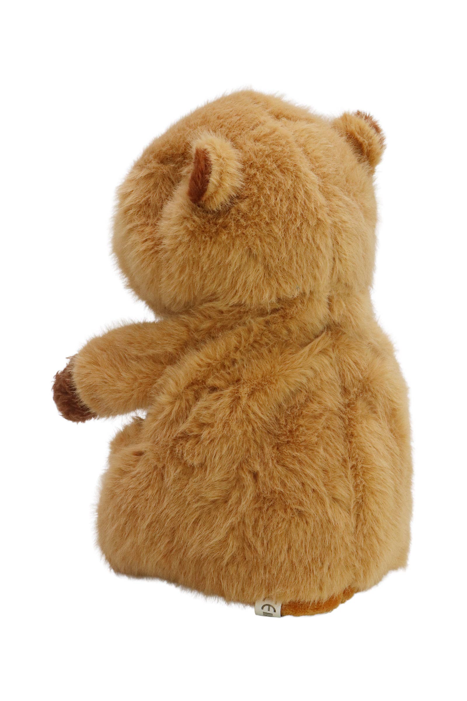 Assorted Capybara Sound Mimicking Dancing Toy for wholesale on Faire14