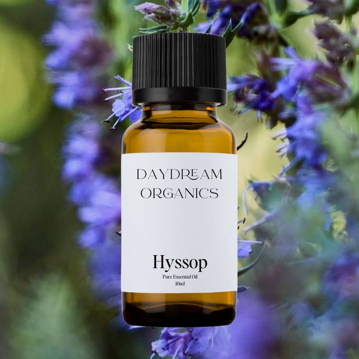 Hyssop Essential Oil for wholesale by Daydream Organics | Prairie Doctor Brand