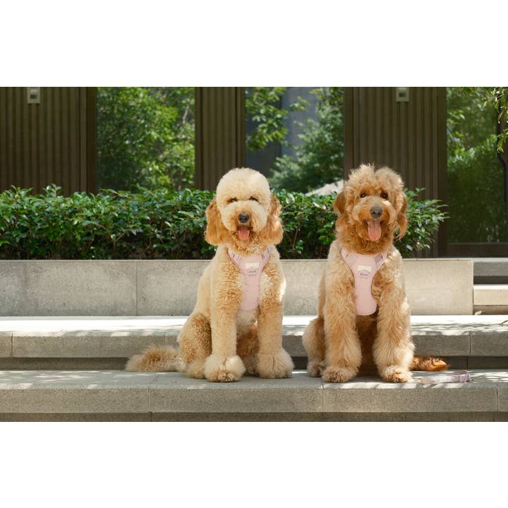 PEHOM - Wholesale Tuig voor huisdieren - Hond - PEHOM Geen-trek hondenharnas – mintgroen en paars7