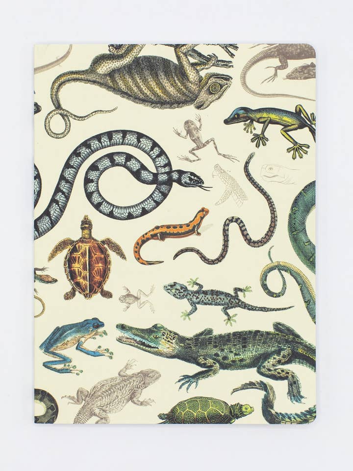 Herpétologie : Reptiles & Amphibiens Couverture souple (Coffret de 6) pour la vente par Cognitive Surplus