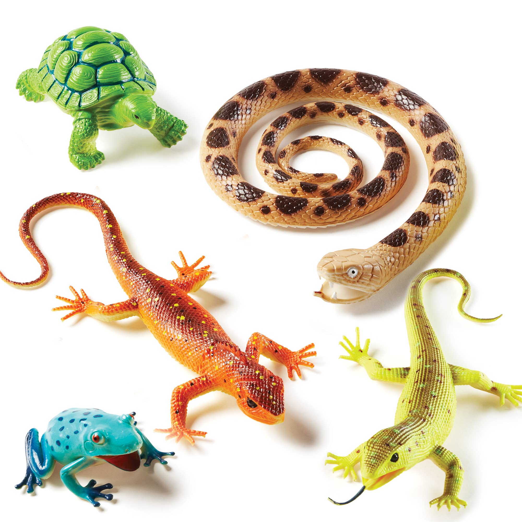 Learning Resources - Wholesale Toy Set - Kids - Jumbo Reptiles & Amphibians5