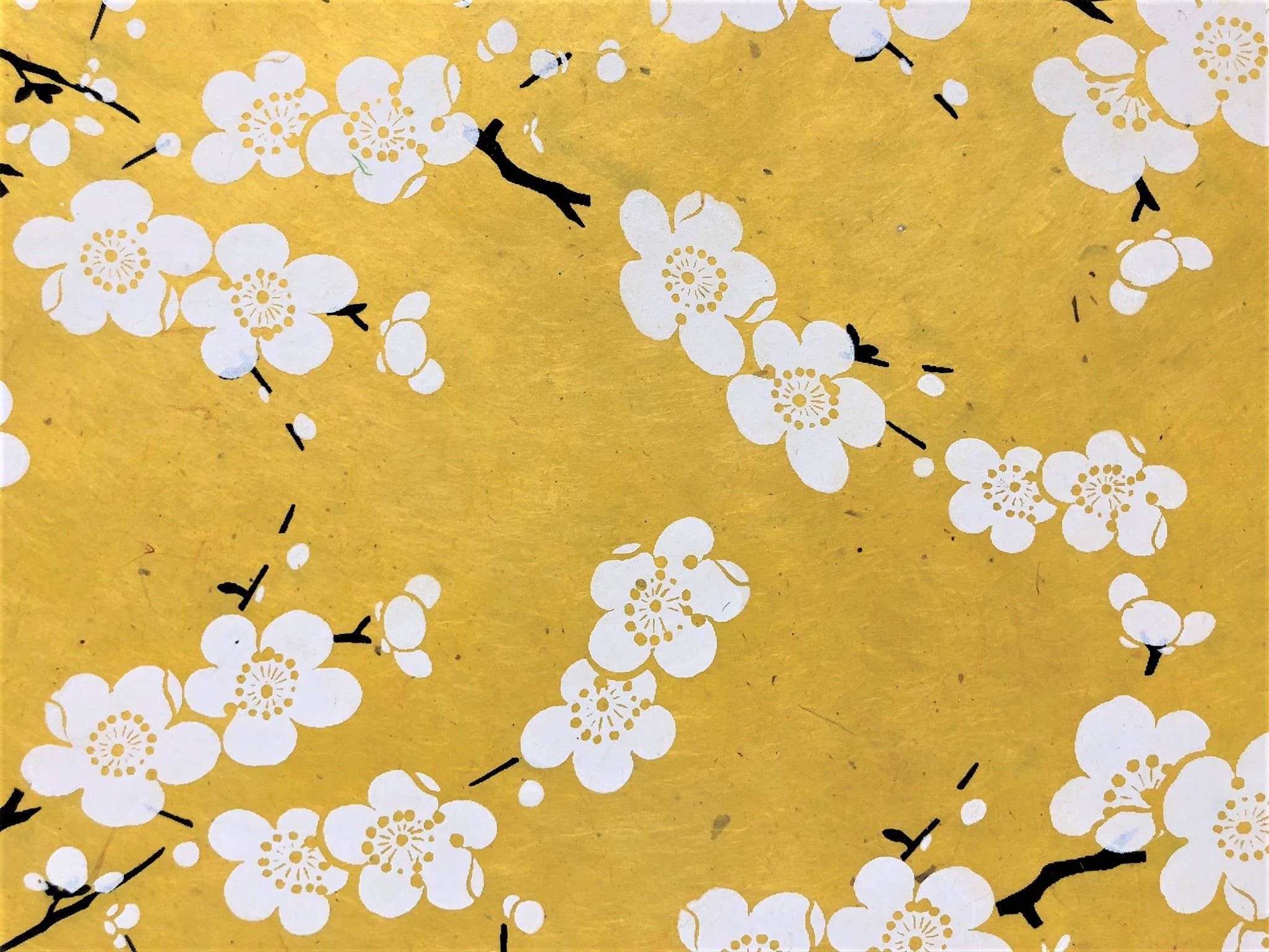 HimalDesign - Wholesale Wrapping Paper Roll - Bridal shower, wedding shower Gift Wrap, Christmas gift wrap3